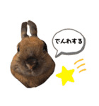 ラビィと愉快な仲間達（個別スタンプ：18）