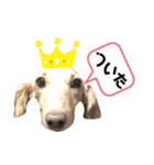 ラビィと愉快な仲間達（個別スタンプ：23）