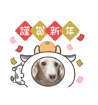 ラビィと愉快な仲間達（個別スタンプ：30）