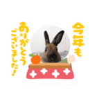 ラビィと愉快な仲間達（個別スタンプ：32）