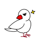 マイペースな文鳥（個別スタンプ：9）