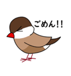 マイペースな文鳥（個別スタンプ：26）