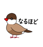 マイペースな文鳥（個別スタンプ：31）