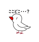 マイペースな文鳥（個別スタンプ：37）