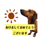 むくです 2（個別スタンプ：27）