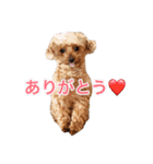 大将君スタンプ♡（個別スタンプ：4）