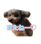大将君スタンプ♡（個別スタンプ：6）