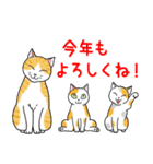 ねこちゃんいっぱい6 年末年始の猫ちゃん（個別スタンプ：22）