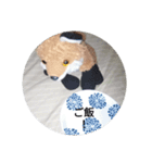 きつね太郎のかわいいスタンプ（個別スタンプ：2）