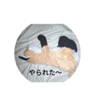 きつね太郎のかわいいスタンプ（個別スタンプ：4）