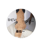 きつね太郎のかわいいスタンプ（個別スタンプ：5）