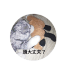 きつね太郎のかわいいスタンプ（個別スタンプ：6）