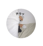 きつね太郎のかわいいスタンプ（個別スタンプ：9）