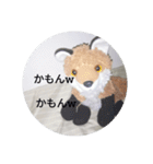 きつね太郎のかわいいスタンプ（個別スタンプ：10）