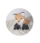きつね太郎のかわいいスタンプ（個別スタンプ：11）