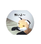 きつね太郎のかわいいスタンプ（個別スタンプ：12）