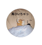 きつね太郎のかわいいスタンプ（個別スタンプ：14）