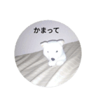 きつね太郎のかわいいスタンプ（個別スタンプ：16）