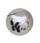 きつね太郎のかわいいスタンプ（個別スタンプ：18）