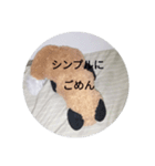 きつね太郎のかわいいスタンプ（個別スタンプ：22）