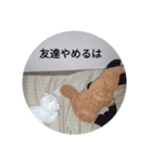 きつね太郎のかわいいスタンプ（個別スタンプ：23）