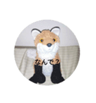 きつね太郎のかわいいスタンプ（個別スタンプ：24）