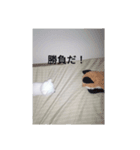 きつね太郎のかわいいスタンプ（個別スタンプ：25）
