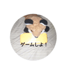 きつね太郎のかわいいスタンプ（個別スタンプ：26）