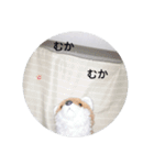 きつね太郎のかわいいスタンプ（個別スタンプ：28）