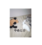 きつね太郎のかわいいスタンプ（個別スタンプ：32）