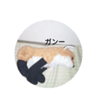 きつね太郎のかわいいスタンプ（個別スタンプ：33）