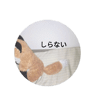 きつね太郎のかわいいスタンプ（個別スタンプ：34）