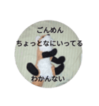 きつね太郎のかわいいスタンプ（個別スタンプ：36）