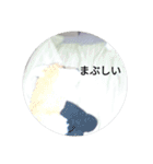 きつね太郎のかわいいスタンプ（個別スタンプ：37）