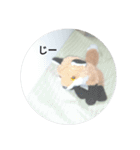 きつね太郎のかわいいスタンプ（個別スタンプ：38）
