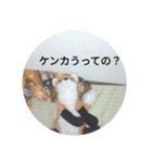 きつね太郎のかわいいスタンプ（個別スタンプ：40）