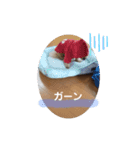 ポノちゃんスタンプその10（個別スタンプ：3）