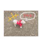 ポノちゃんスタンプその10（個別スタンプ：4）