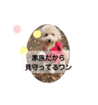 ポノちゃんスタンプその10（個別スタンプ：5）