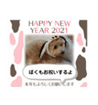 ポノちゃんスタンプその10（個別スタンプ：6）
