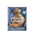 ポノちゃんスタンプその10（個別スタンプ：8）