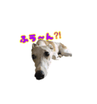 ベスの毎日 デカ文字オノマトペ（個別スタンプ：5）