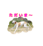 ベスの毎日 デカ文字オノマトペ（個別スタンプ：18）