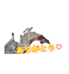 ベスの毎日 デカ文字オノマトペ（個別スタンプ：30）