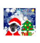 はちボラファミリーのXmas＆年末年始♪（個別スタンプ：5）