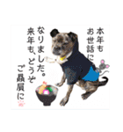 はちボラファミリーのXmas＆年末年始♪（個別スタンプ：6）