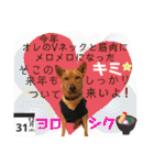はちボラファミリーのXmas＆年末年始♪（個別スタンプ：9）