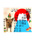 はちボラファミリーのXmas＆年末年始♪（個別スタンプ：10）