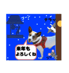 はちボラファミリーのXmas＆年末年始♪（個別スタンプ：12）