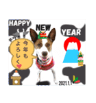 はちボラファミリーのXmas＆年末年始♪（個別スタンプ：13）